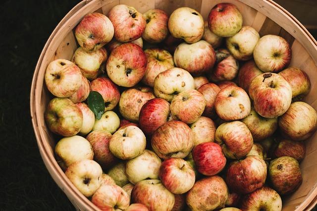 Výroba Cideru: Domácí Recept na Osvěžení