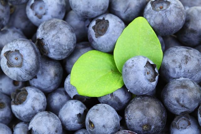 Zdravá borůvková zmrzlina: Ledové osvěžení plné antioxidantů