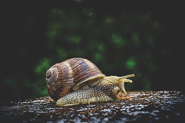 Pomalu zkoumejte fascinující historii budovy