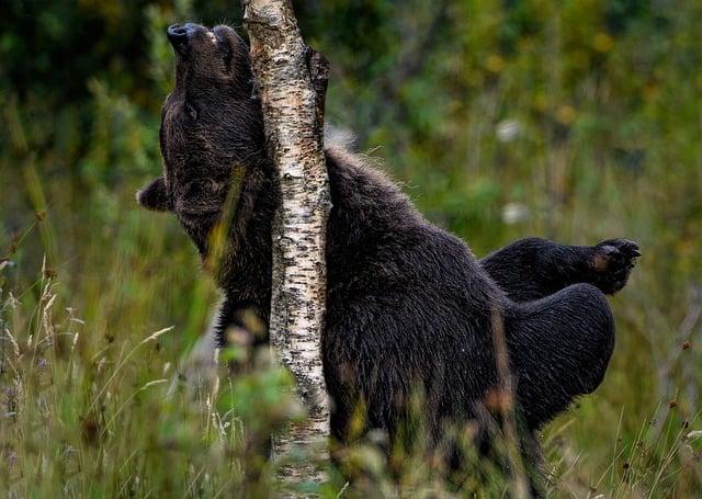 Jak zmírnit svědění a podráždění pokožky postižené vyrážkou celiakie