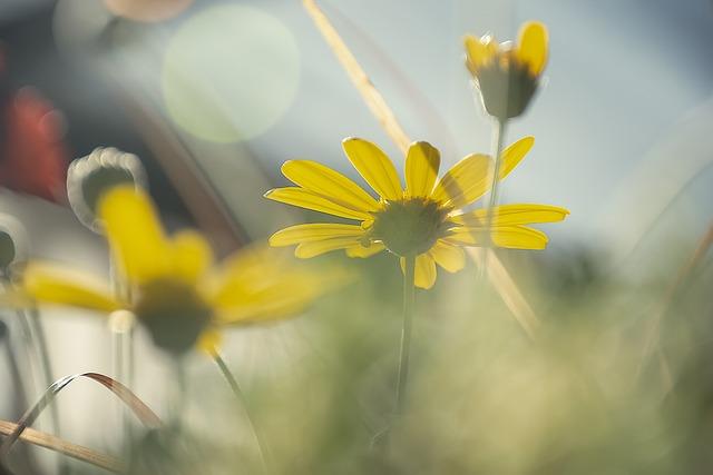 Jak dosáhnout dokonalé rovnováhy mezi bílkovinami, sacharidy a zeleninou ve vašich večeřích