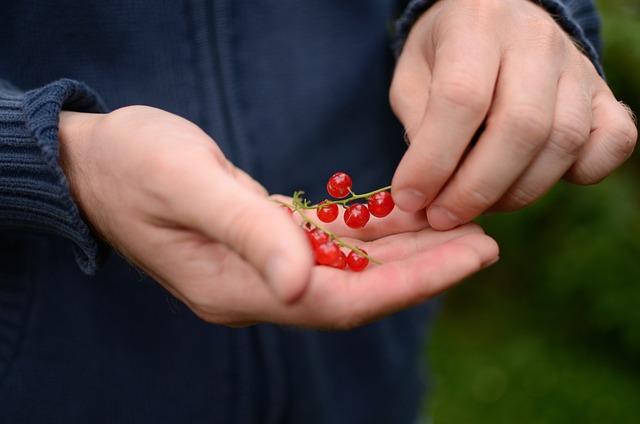 Důležité ingredience pro exotickou⁤ chuť