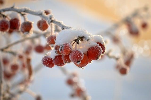 Jak motivovat děti kladním raw stravovacím návykům od útlého věku