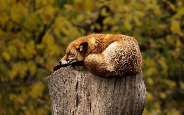 Jak si užít relaxační ranní rutinu bez stresu